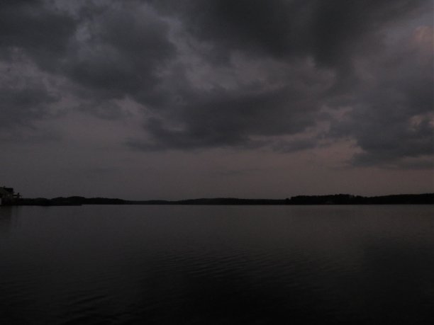 紫色的早晨图片下载