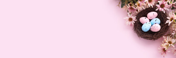 五彩缤纷的复活节蛋在巢和花朵在粉红色的背景与复制空间。平的。横幅图片下载