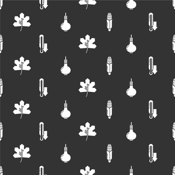 设置玉米叶片气象温度计或叶片图片下载