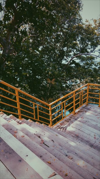 楼梯donwn自然图片下载