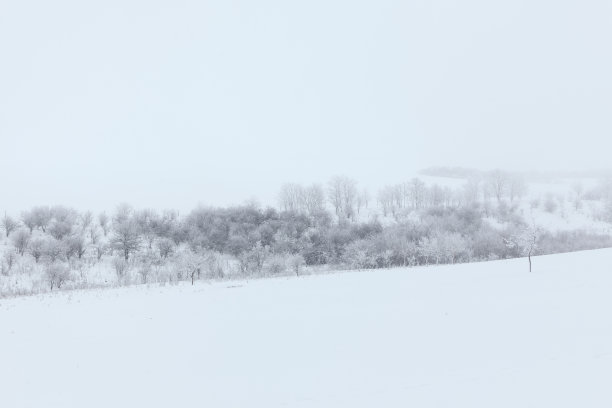 白色的冬天自然图片下载