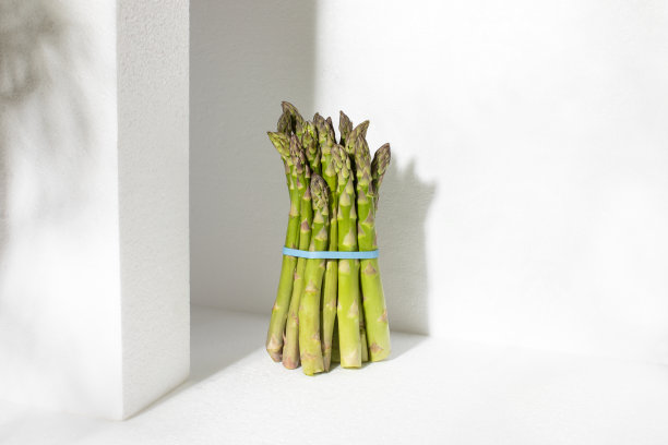 春天的一束新鲜成熟的芦笋在友好的阳光下，正面观看图片下载