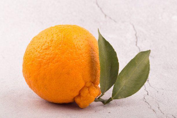 韩国济州岛的橘子是Hanrabong。图片下载