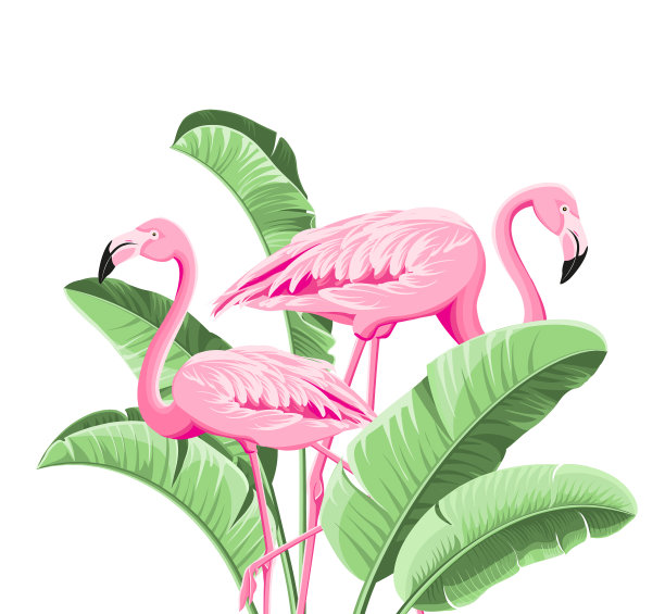 夏季热带框架异国香蕉叶图案图片下载