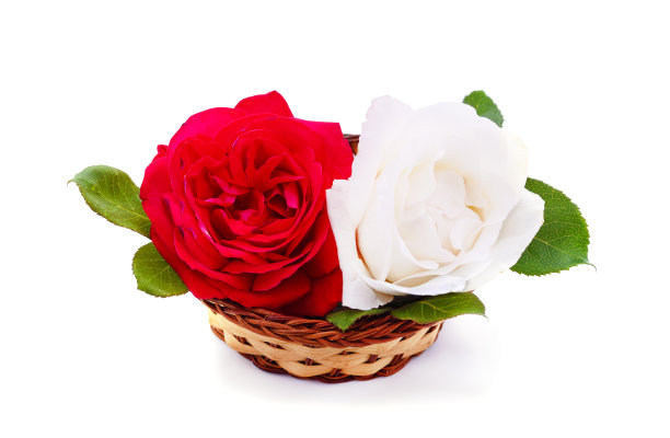 白玫瑰和红玫瑰放在一个小篮子里。图片下载