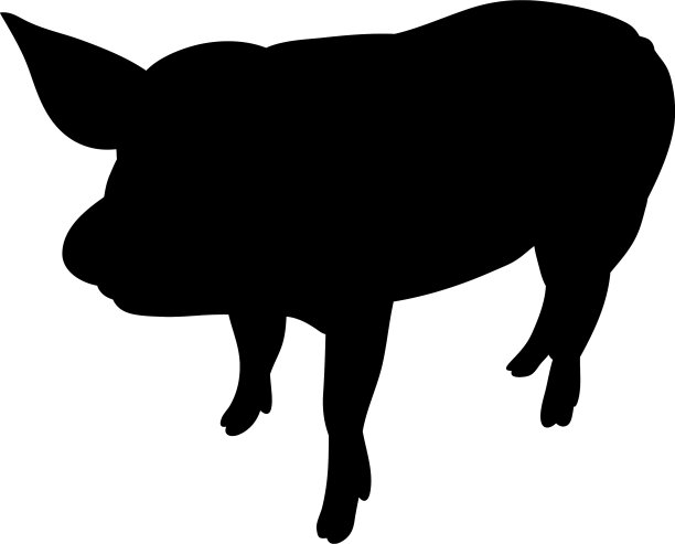 轮廓猪隔离图片下载