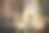 办公室或公寓的墙壁装饰。室内装饰用活的和干的植物。环保的角落。黄昏和庭院的光线图片下载