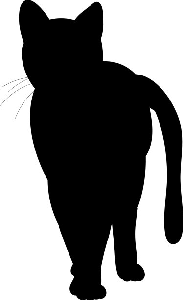 孤立的黑色剪影一只猫站着图片下载