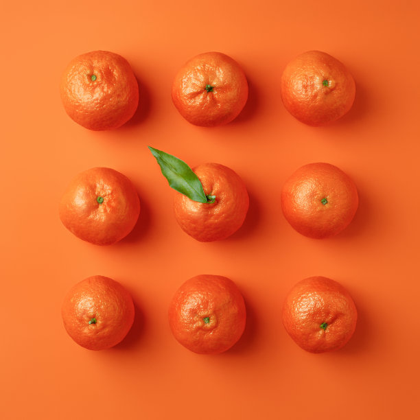 新鲜的柑橘和薄荷叶形成几何方形形状在柔和的橙色背景图片下载