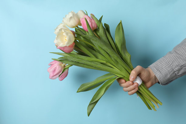 男子手持一束蓝色背景的郁金香图片下载