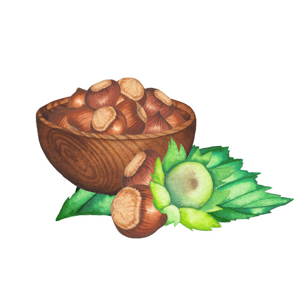 用树叶和坚果装饰的榛子水彩碗。图片下载