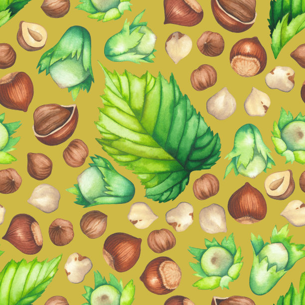 水彩无缝模式的榛子叶和坚果。图片下载