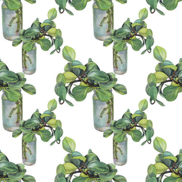 无缝模式水彩植物绿色肉质叶和枝花瓶在白色背景。艺术创意手绘对象，花店，卡片，纺织品，墙纸图片下载