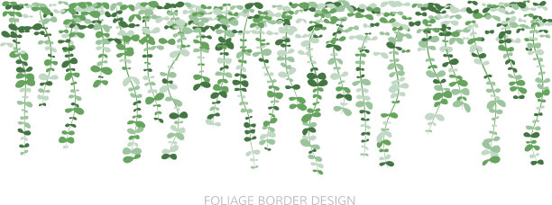 悬挂植物常春藤绿色墙壁简单化图片下载