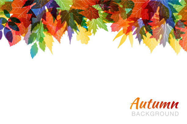 秋天五颜六色的背景与各种各样的树叶图片下载