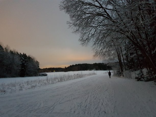 北欧自然的夜晚冬季图片下载