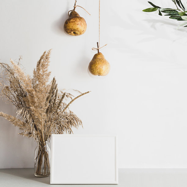 现代静物与空白相框。夏季的组成与蒲苇和梨在一个光的背景。模型图片下载