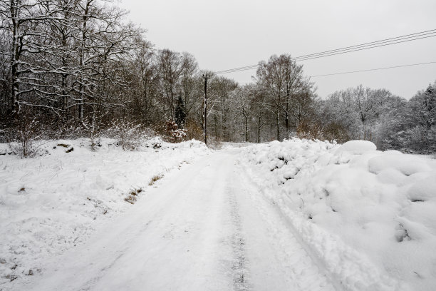 穿过草地和森林景观的结冰和积雪的冬季道路。图片来自瑞典斯堪尼亚图片下载