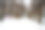 这是一条冰雪覆盖的冬季道路，穿过一排传统修剪的柳树。图片来自瑞典斯堪尼亚图片下载
