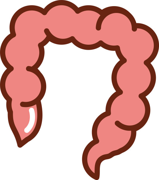 人体大肠解剖器官健康图片下载