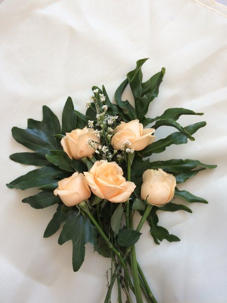 一束玫瑰图片下载