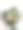 一束玫瑰图片下载
