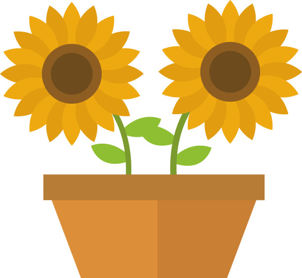 农业盆景及平栽向日葵图片下载