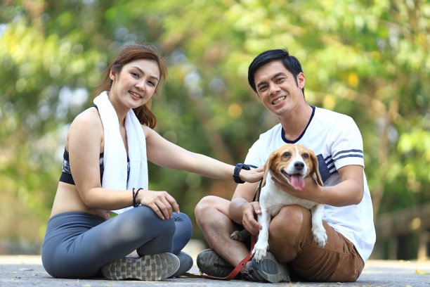 一对亚洲夫妇在公园里锻炼的时候和他们的小猎犬玩耍图片下载