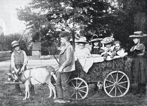 儿童玩干草运输图片下载