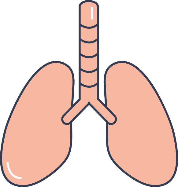人体概念肺器官图标线填充图片下载