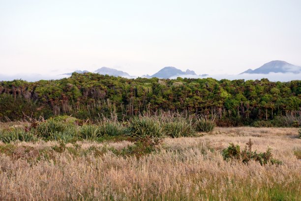 查尔斯顿风景，西港附近，新西兰西海岸图片下载