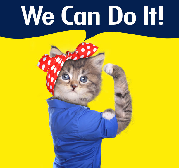 1950年代标志性的重拍形象的工厂工作的小猫图片下载