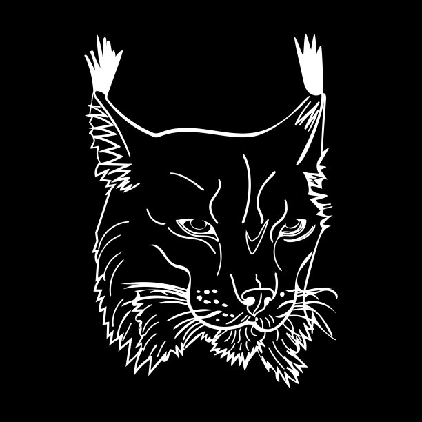 素描风格的肖像山猫孤立图片下载