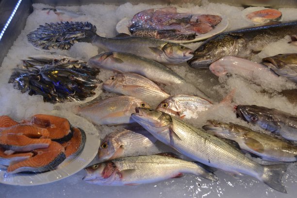 土耳其伊斯坦布尔，路边摊上出售的鲜鱼图片下载