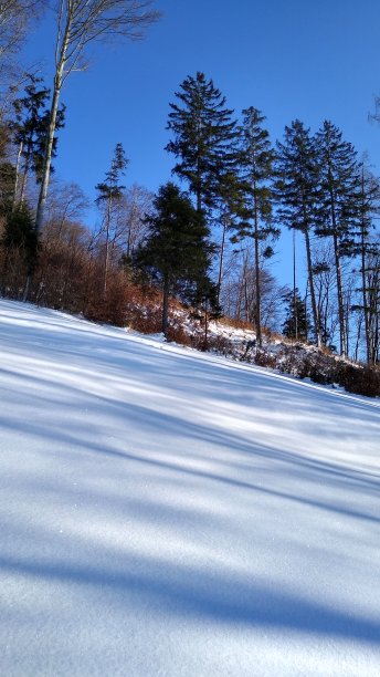 萨尔斯堡的冬天图片下载