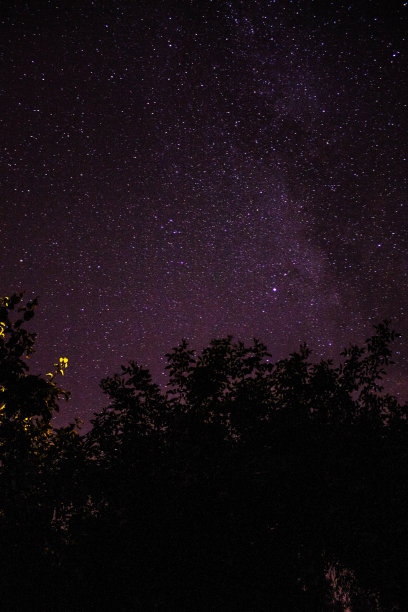 恒星照片与树在黑暗，银河图片下载