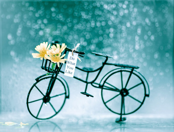 带有鲜花的迷你自行车图片下载