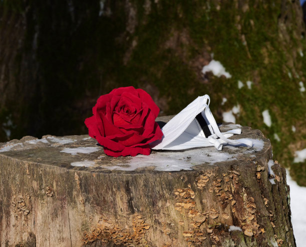 孤立的爱情观念，红玫瑰和面具为日冕图片下载