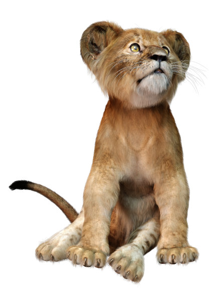 3D插图可爱的狮子幼崽在白色图片下载