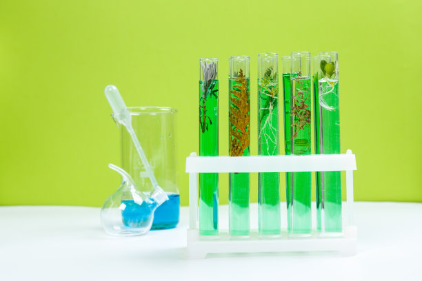 试管天然化妆品来自植物和花卉的有机产品，皮肤护理的草药化妆品图片下载