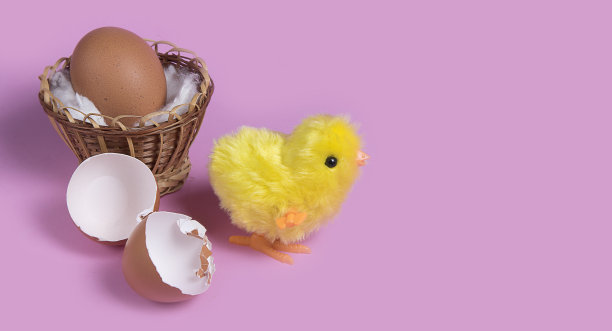 可爱的玩具鸡从蛋壳中吱吱作响，粉红色的背景。从破蛋中孵出的小鸡。Copyspace图片下载