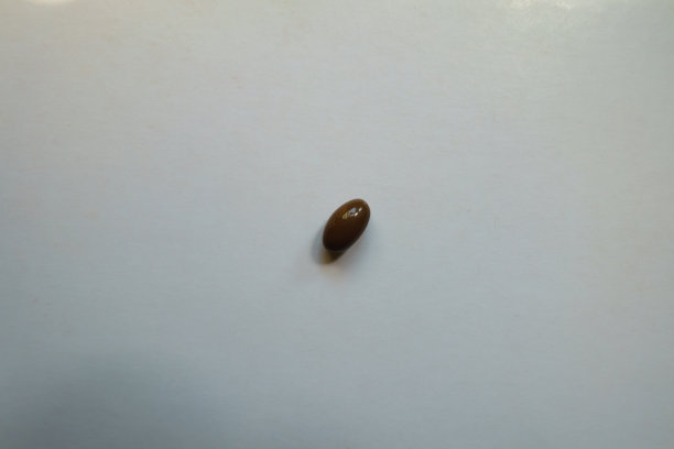 棕色光滑的维生素D3软胶囊图片下载