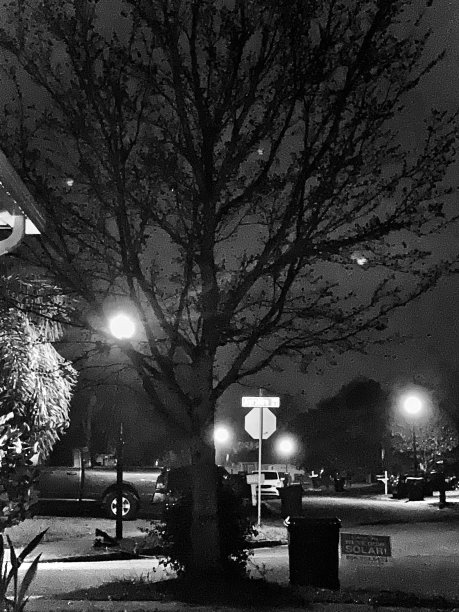 附近的灯光图片下载