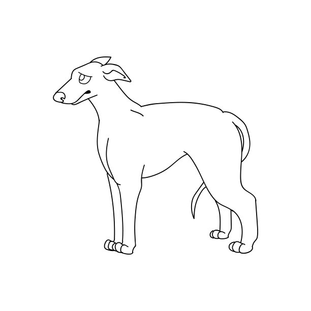 可爱的卡通灰狗狗和小狗品种矢量剪贴画。纯种犬舍赛跑猎犬为狗爱好者。纯种家养犬宠物客厅插图。隔离快速犬幼犬。图片下载