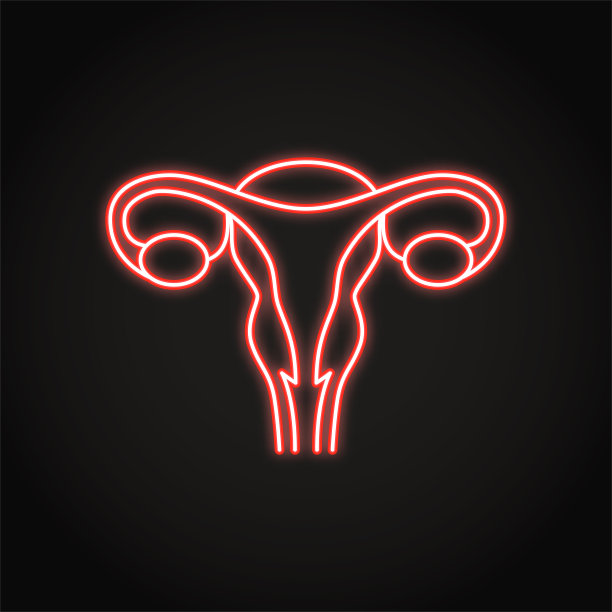 子宫和卵巢的霓虹线风格图标图片下载