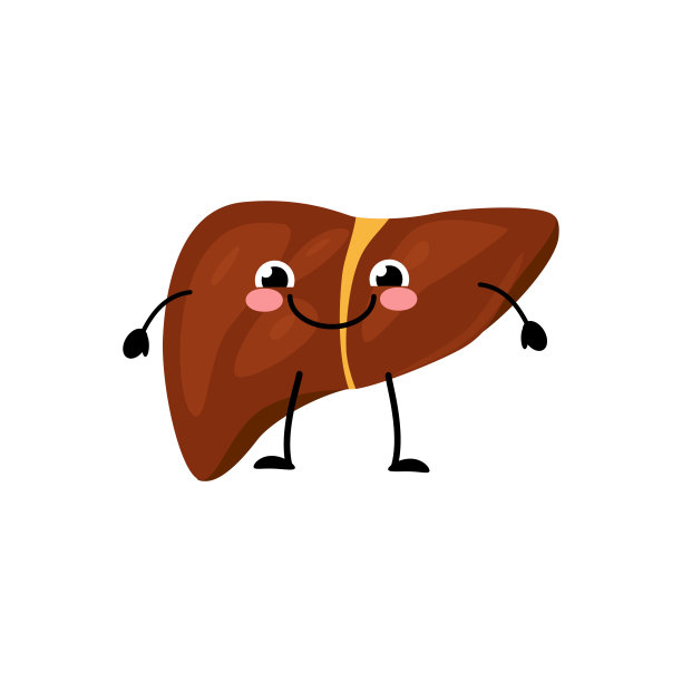 快乐微笑可爱的肝脏器官人物在一个平面卡通风格。图片下载