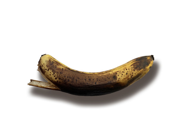 老的不健康的腐烂的香蕉水果在白色的背景图片下载