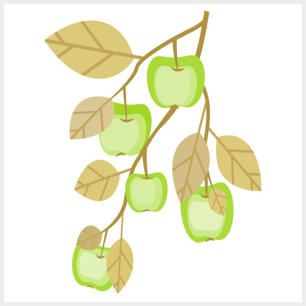 向量-苹果枝模式。图片下载
