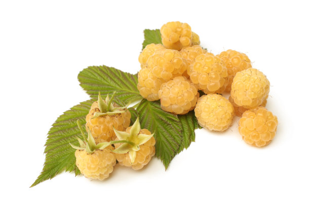 带叶子的新鲜黄色覆盆子图片下载