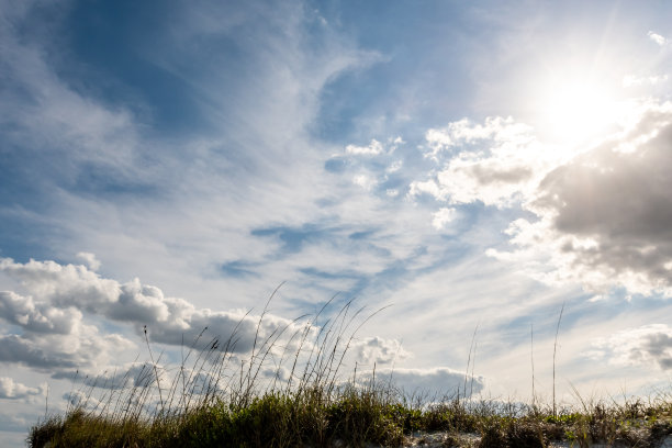 佛罗里达的海滩。图片下载